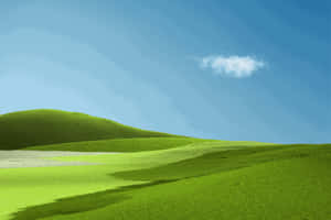 Superficial Green Grass Wallpaper