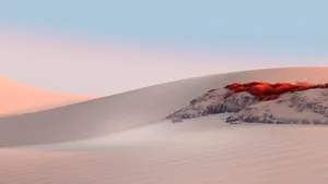 Superficial Red Grass Wallpaper