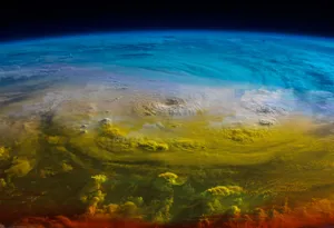 Superficial Swirls Wallpaper