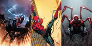 Superior Spider-man 3000 X 1500 Wallpaper Wallpaper