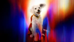 Supermans Loyal Canine Hero Wallpaper