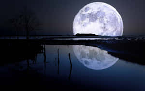 Supermoon_ Reflection_ Landscape Wallpaper