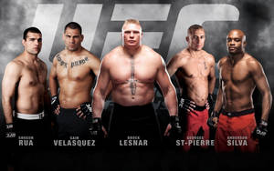 Superstars And Legends Of The Ufc Organization 4k Wallpaper