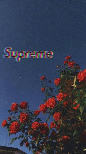 Supreme Logo Blue Aesthetic Tumblr Wallpaper