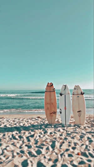 Surfboards Standing Sandy Beach Seascape Wallpaper