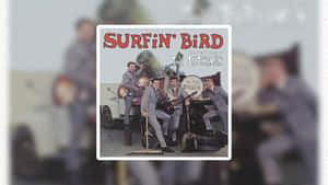 Surfin Bird Classic Hit Wallpaper