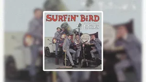Surfin Bird Classic Hit Wallpaper