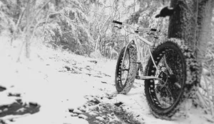 Surly Fat Bike Rear View Wallpaper