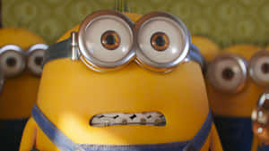 Surprised Minion Pfp Wallpaper