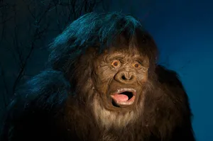 Surprised Monkey Meme Wallpaper