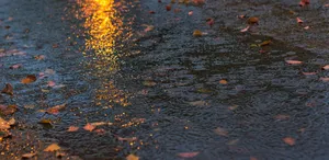 Surrounded By Nature Wallpaper