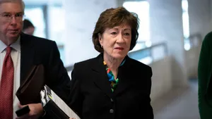 Susan Collins Black Suit Wallpaper