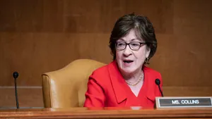 Susan Collins Talking Wallpaper