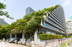 Sustainable Green Building Complex Wallpaper
