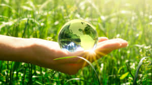 Sustainable Green Technology Concept Wallpaper