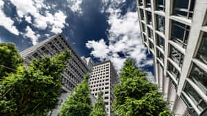 Sustainable Urban Architecture Wallpaper