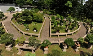 Suzhou Bonsai Villa Wallpaper