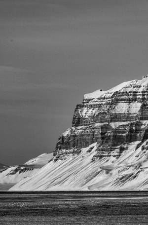 Svalbard Grey Rocky Glaciers Wallpaper