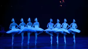Swan Lake Ballet Performance Wallpaper