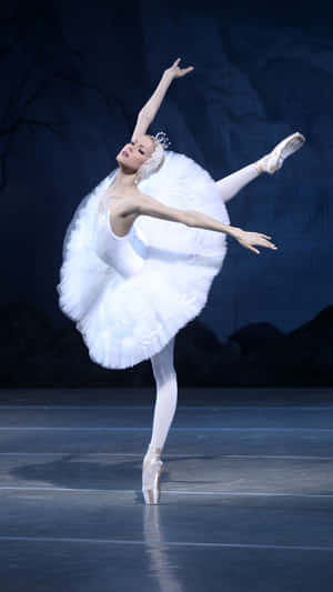Swan Lake Ballet Performance Wallpaper