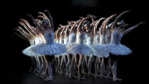 Swan Lake Ballet Performance Wallpaper
