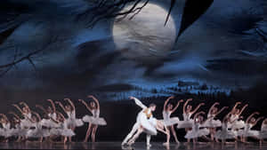 Swan Lake Ballet Performance Wallpaper