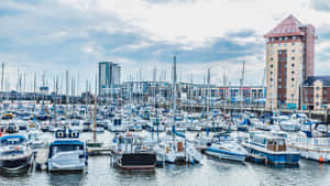 Swansea Marina Boatsand Apartments Wallpaper