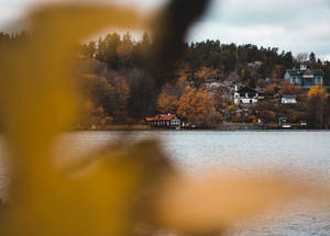 Sweden Bredang Autumn Wallpaper