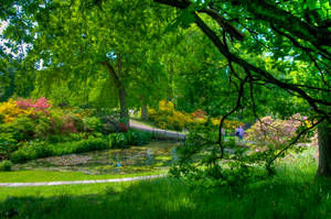 Sweden Serenity Pond Wallpaper