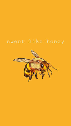 Sweet Like Honey Vintage Bee Aesthetic Wallpaper