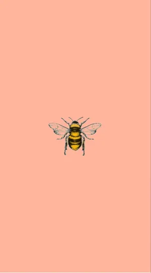 Sweet Summertime With A Vintage Bee Wallpaper