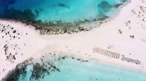 Swim Through The Azure Blue Wallpaper