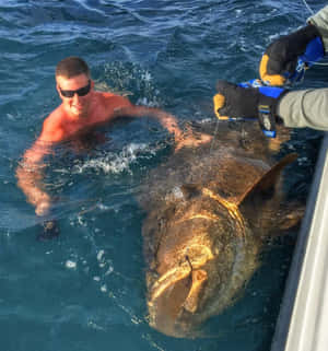 Swimmerwith Giant Grouper Wallpaper