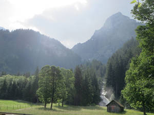 Swiss Alps Green Forest Wallpaper