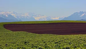 Swiss Alps Viewfrom Plowed Field Wallpaper