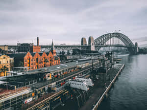 Sydney Harbour Bridgeand Circular Quay Station Wallpaper