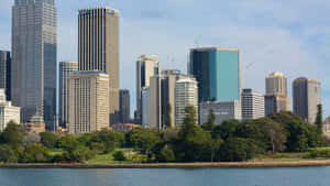 Sydney_ Skyline_ From_ Royal_ Botanic_ Garden Wallpaper