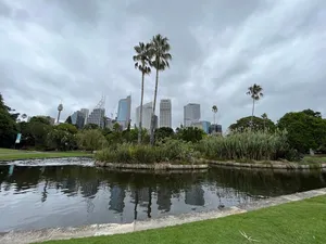 Sydney Skyline Viewfrom Royal Botanic Garden Wallpaper