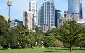 Sydney Skyline Viewfrom Royal Botanic Garden Wallpaper