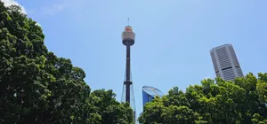 Sydney Tower Eye Above Treetops Wallpaper