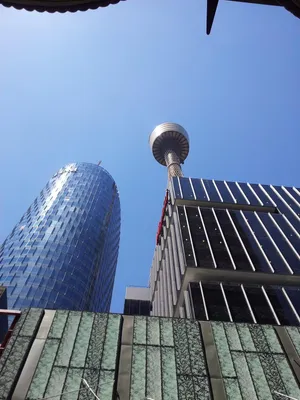 Sydney_ Tower_ Eye_ Among_ City_ Buildings.jpg Wallpaper