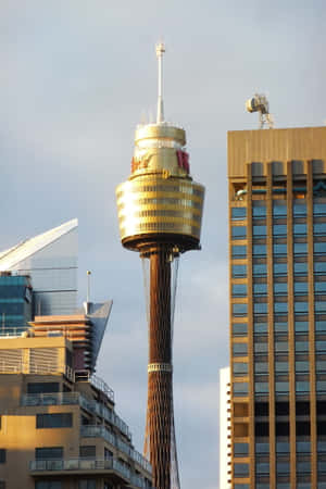 Sydney_ Tower_ Eye_ Closeup_ View.jpg Wallpaper