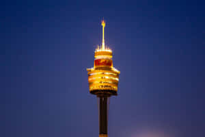 Sydney_ Tower_ Eye_ Night_ View.jpg Wallpaper