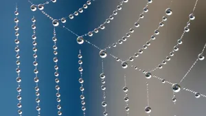 Symetrical Water Droplets Wallpaper