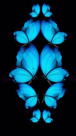 Symmetrical Blue Butterflies Art Wallpaper
