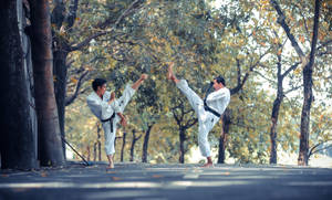 Tai Chi At A Park Wallpaper