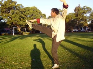 Tai Chi Kicks Wallpaper