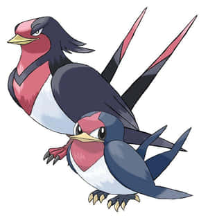 Taillow And Swellow Side-eyeing Wallpaper