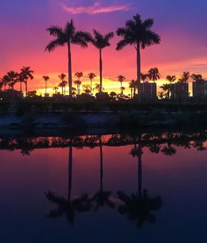 Take A Break From The Sun In The Coolest Retro Miami Spot. Wallpaper