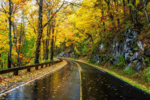 Take A Breathtaking Tour Of Great Smoky Mountains Wallpaper